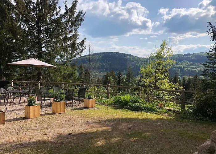 Du Chateau * Granges-sur-Vologne